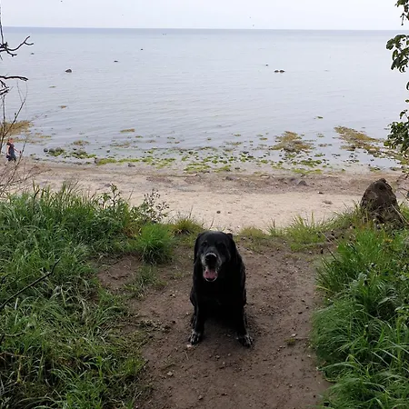 Ostsee-schwaenchen Ii Apartment